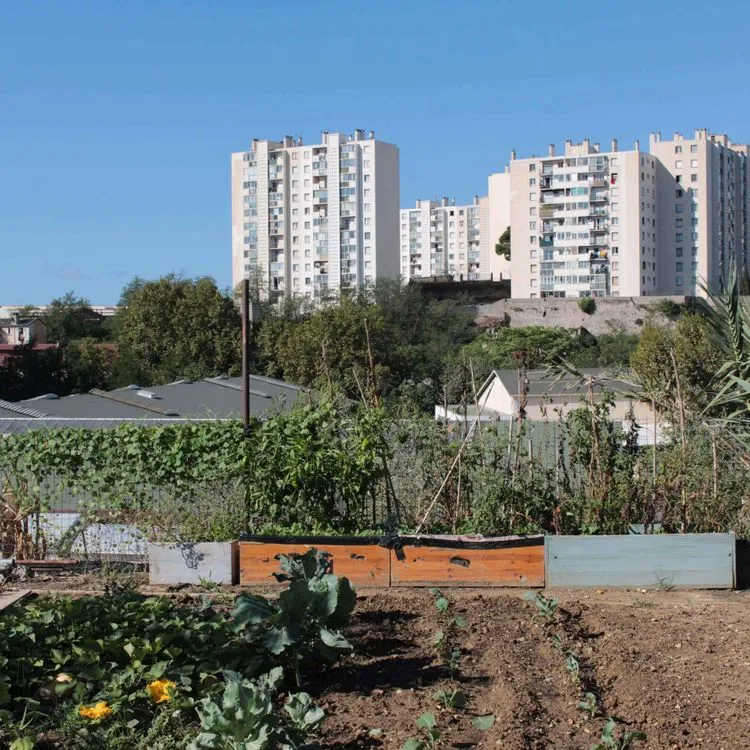 Avec la participation de Nicolas, Daniel, Jacques et Madame Ferrandi / Réalisation et montage : Pierrick Mouton / Photographies : Stéphane Guglielmet / Crédits musique : Alain Barrière – Ma vie ; Georges Chelon – Morte saison (1966)