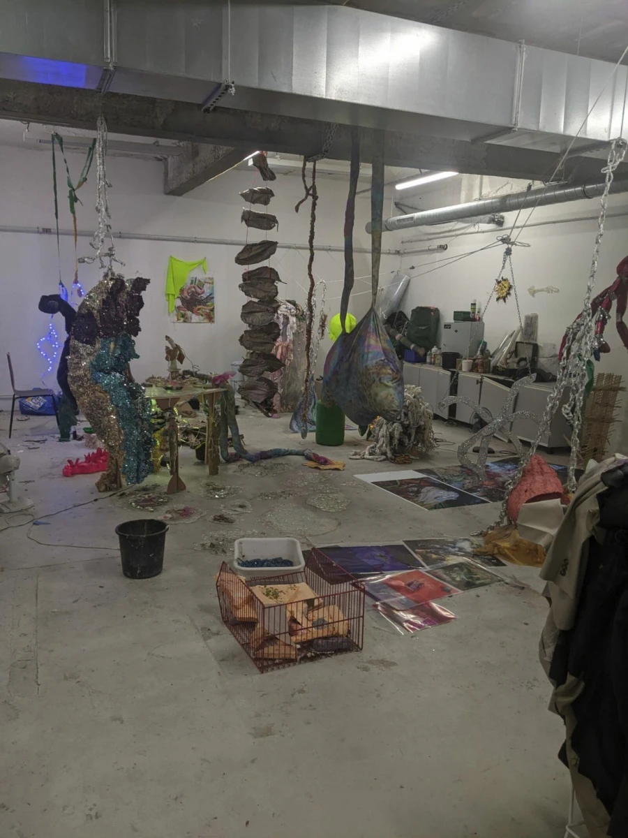 image-20-10-2022-a-12.26