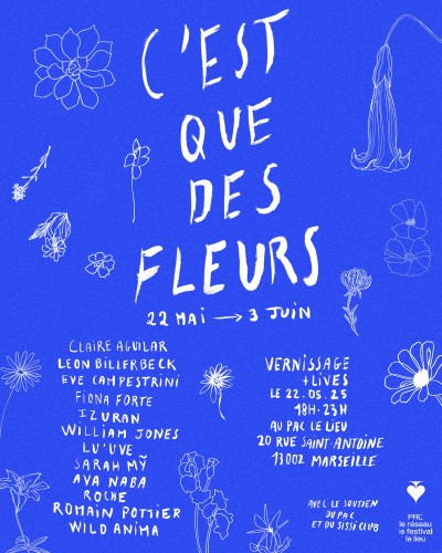 cqdf_affiche_blue