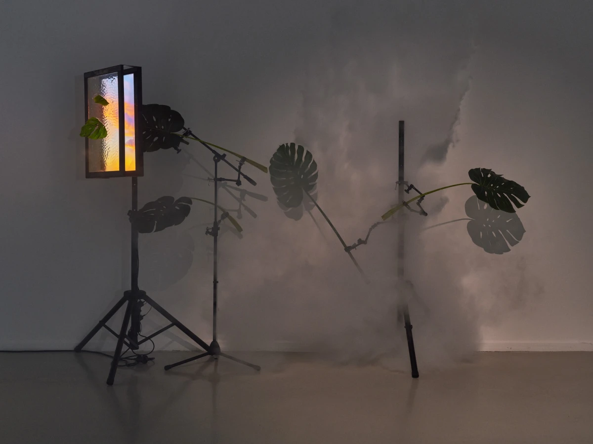 002_june-balthazard-pierre-pauze_72dpi-jean-christophe-lett