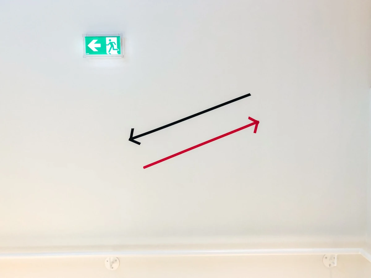 Crédit photo : Tzu-Chun Ku