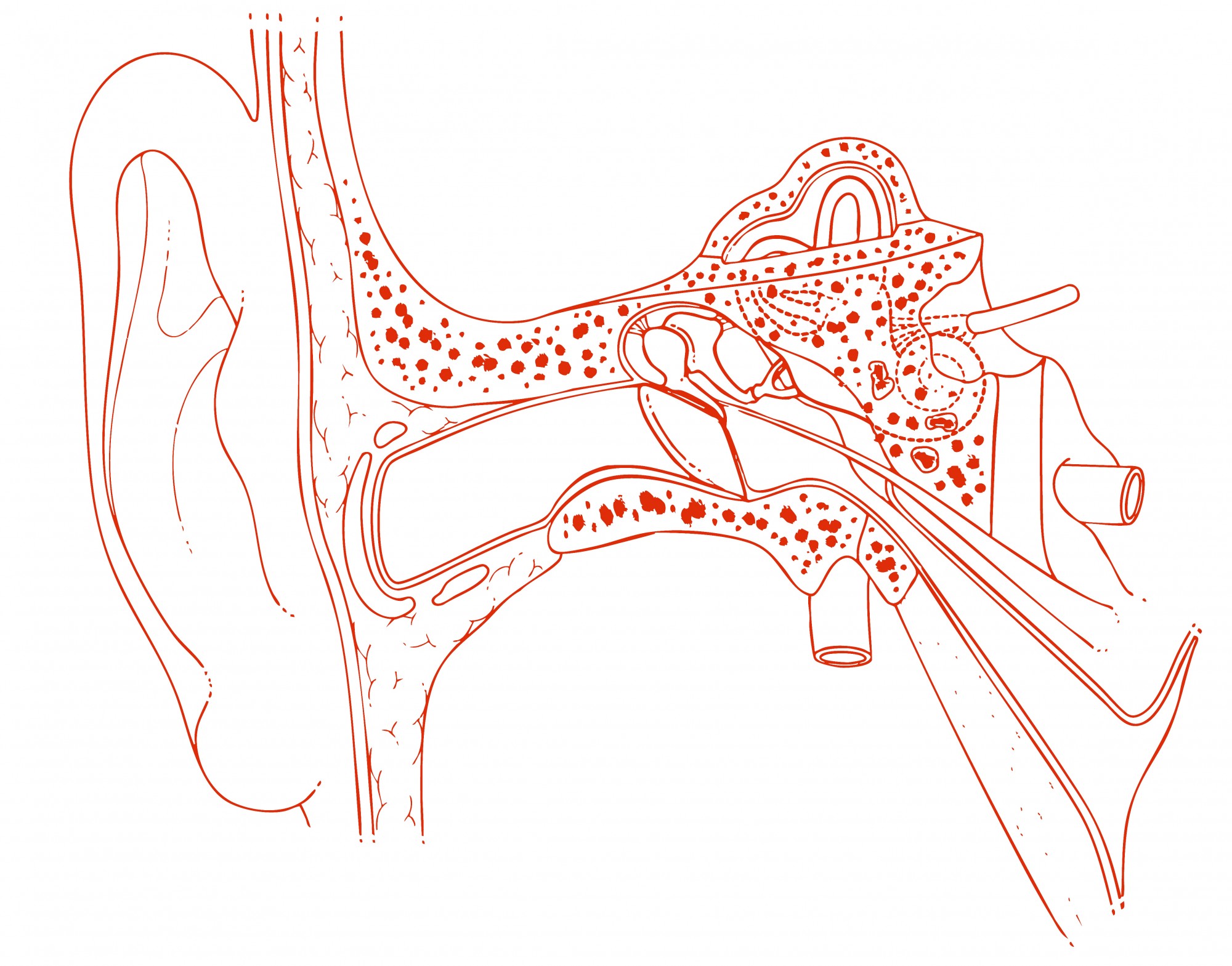 half-rest-i-blankett-2026