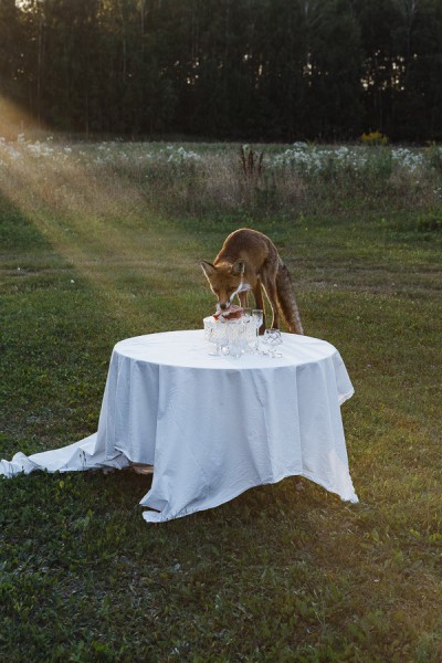 Déjeuner sur l’herbe, Dominika Troicka, 2025