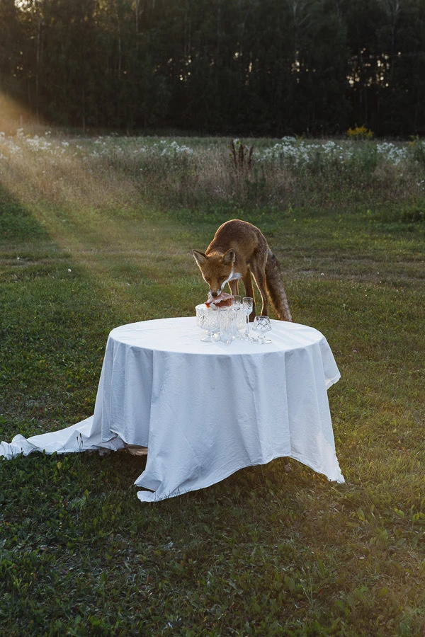 Déjeuner sur l’herbe, Dominika Troicka, 2025