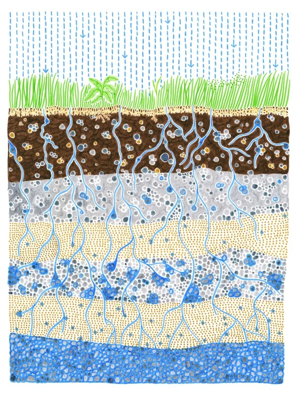 infiltration-water-calling-dessin-au-feutre-isabelle-daeron-1200x800