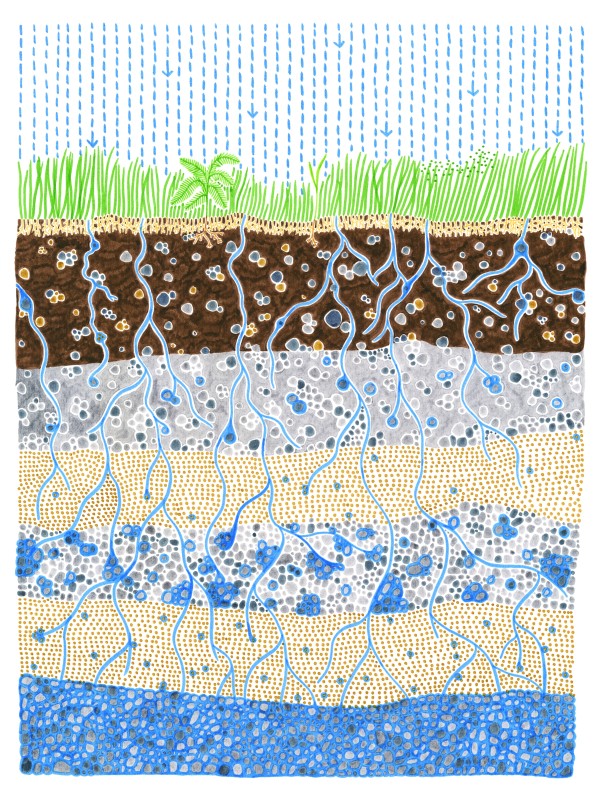 infiltration-water-calling-dessin-au-feutre-isabelle-daeron-1200x800