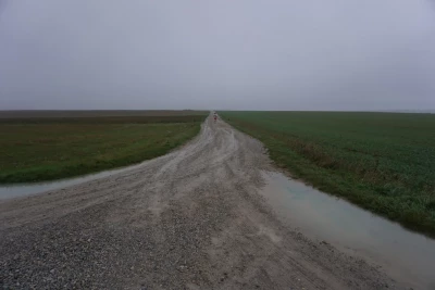 DD Dorvillier (2020)