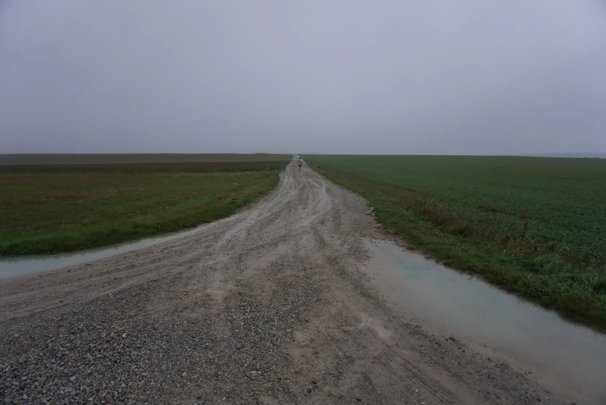 DD Dorvillier (2020)