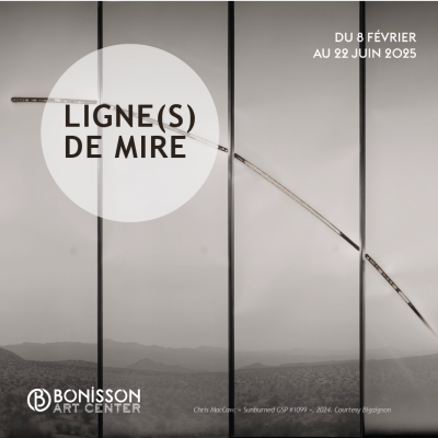 Affiche Ligne(s) de mire
Chris McCaw, Sunburned GSP#1099 (Mojave), 2024
Crédit Photo: Galerie Bigaignon