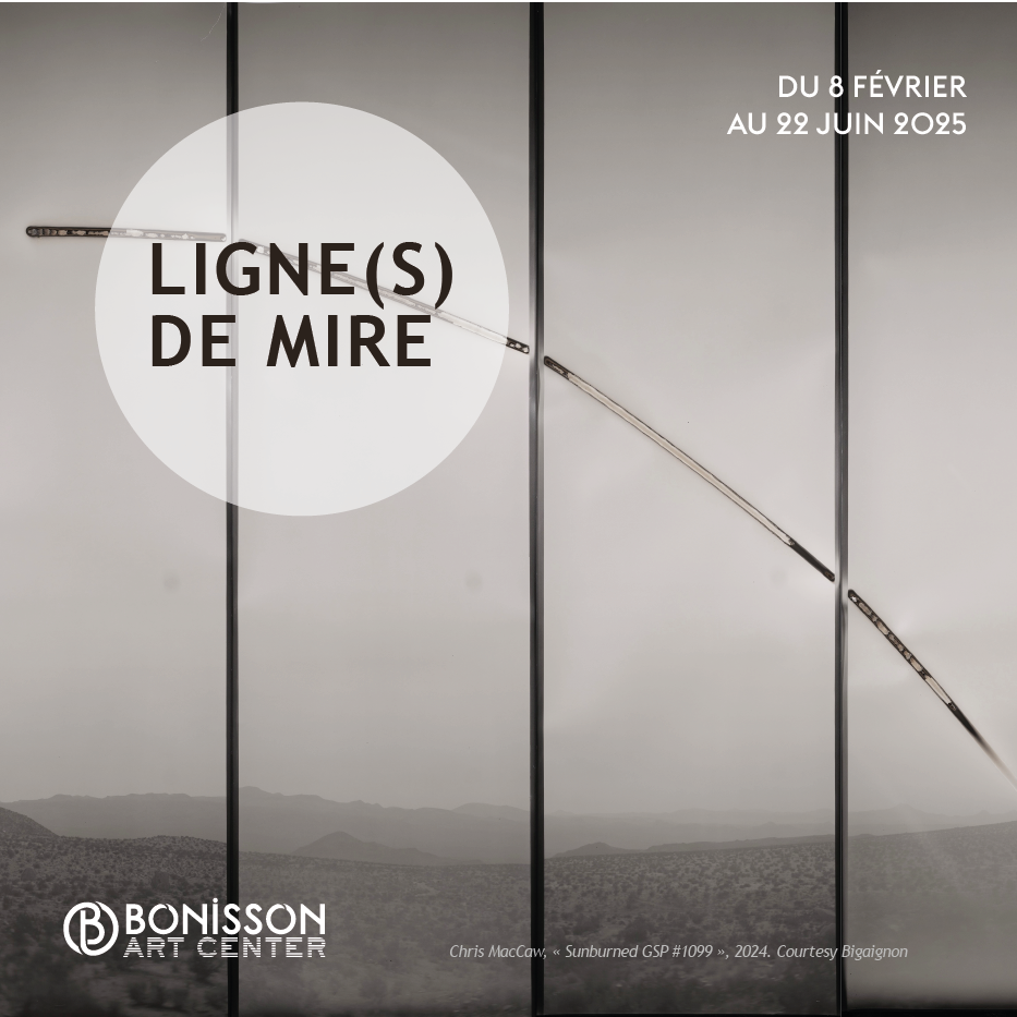 Affiche Ligne(s) de mire
Chris McCaw, Sunburned GSP#1099 (Mojave), 2024
Crédit Photo: Galerie Bigaignon