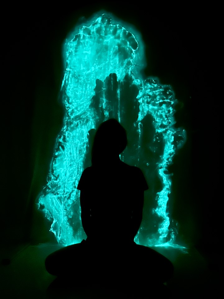 come-di-meglio-bioluminescence