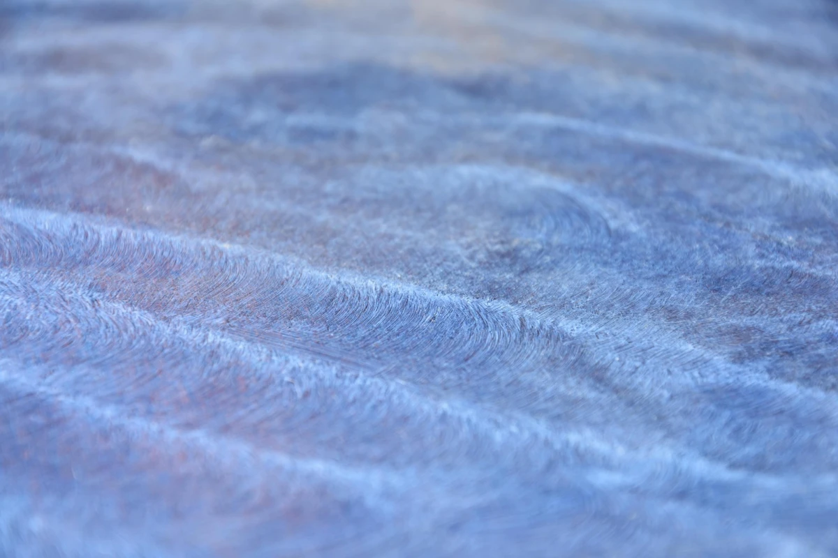 Anne Goyer, 420 Nanomètres, 2025. crédit Anne Goyer