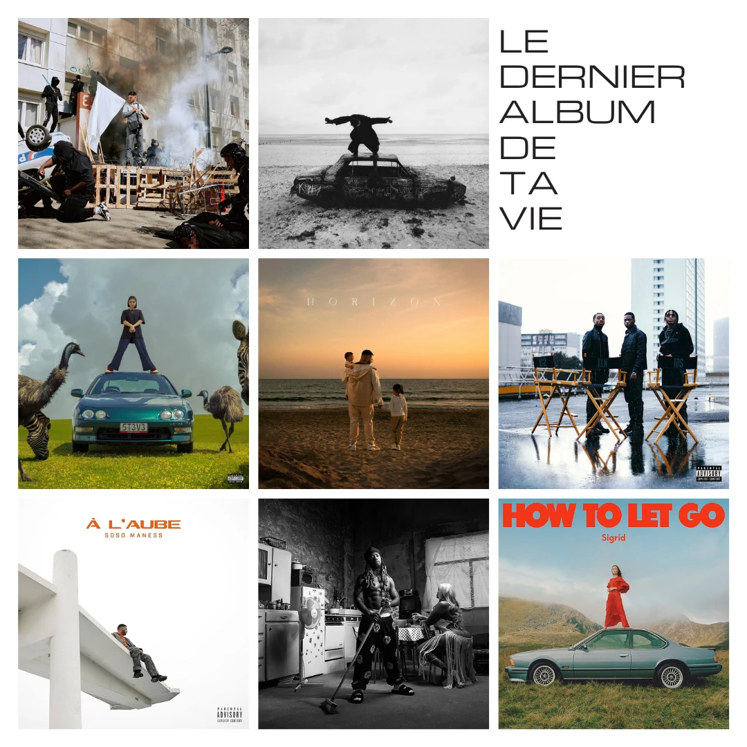 dernier-album-de-ta-vie-robin