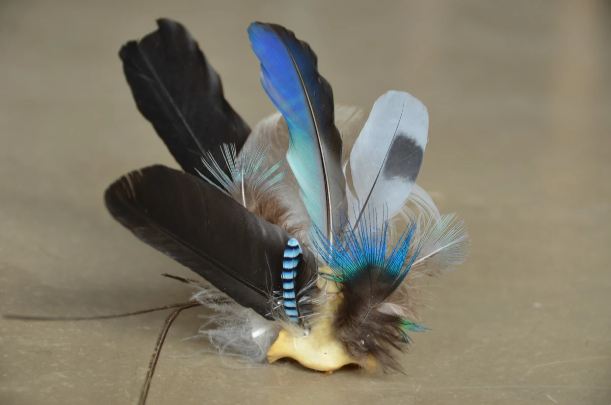 lamia-talai-2022-plumes-os-credit-photo-helene-bertin