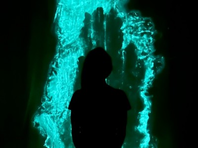 come-di-meglio-bioluminescence
