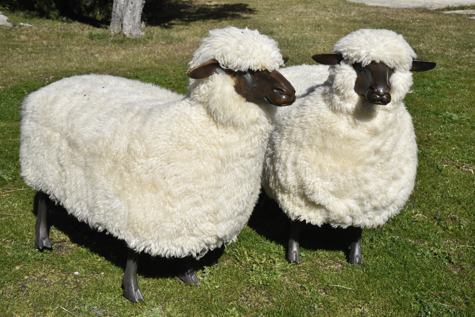 fdt.0465-990.152-moutons-de-lalanne-ph-o-monoyez-3