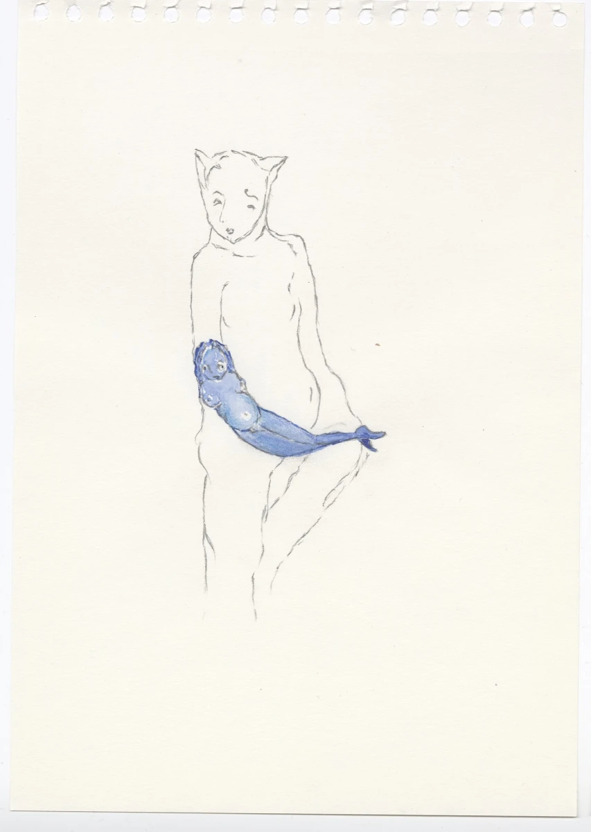 annonce-cp_dessinz-couleur_msylvander