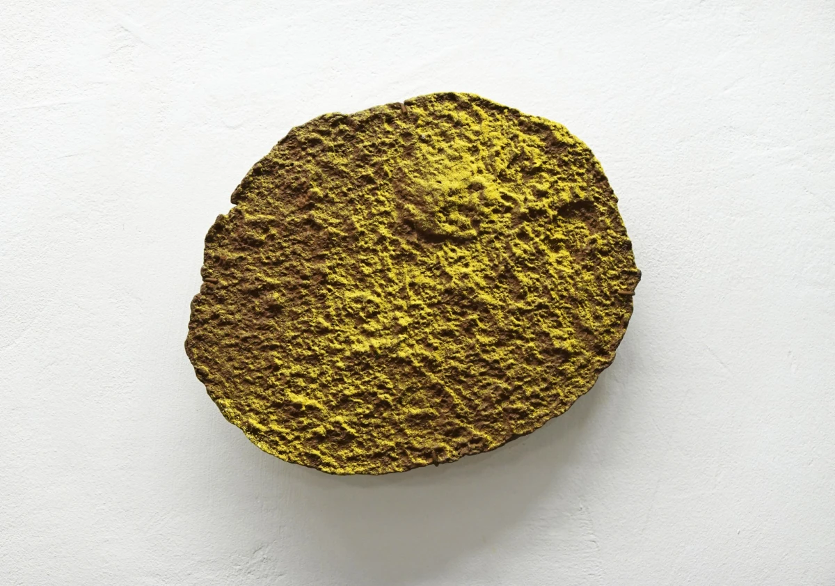 jeremie-setton-dessins-corpusculaires-2025-acrylique-et-pigment-sur-pate-a-papier