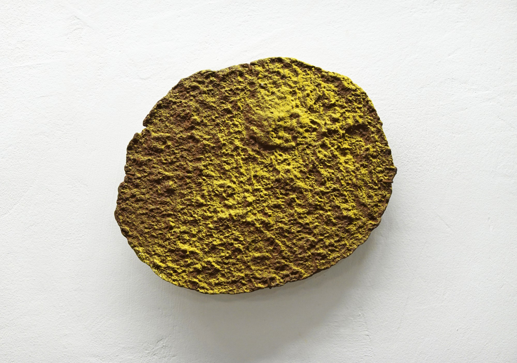 jeremie-setton-dessins-corpusculaires-2025-acrylique-et-pigment-sur-pate-a-papier