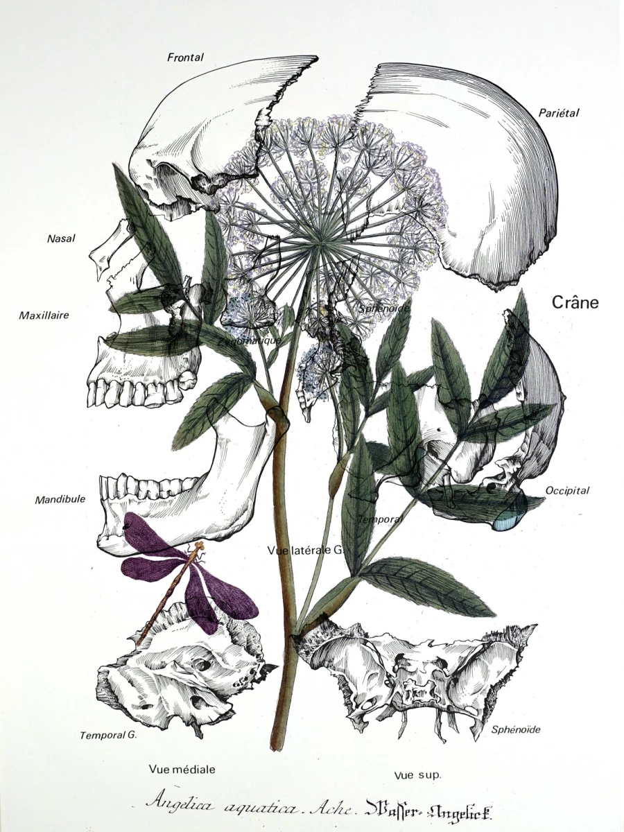 Fabien Léaustic , <em>Conservatoire d’un nouveau paradigme</em> @ F. Léaustic_Adagp