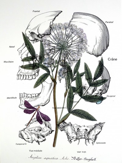 Fabien Léaustic , *Conservatoire d’un nouveau paradigme* @ F. Léaustic_Adagp