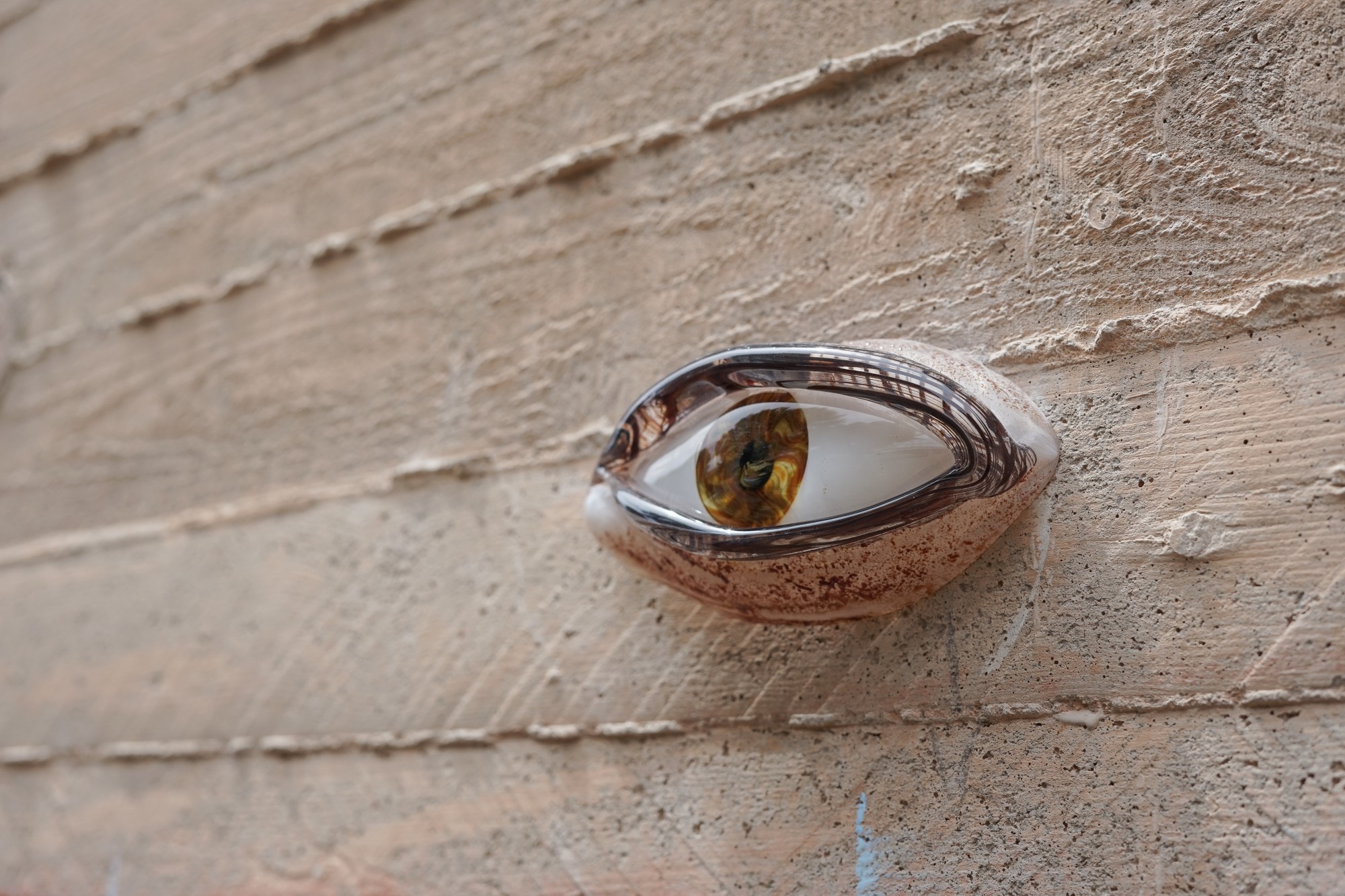 Mathilde Rosier, *Champ de visions* (détail), 2023, coproduction Mucem / Cirva