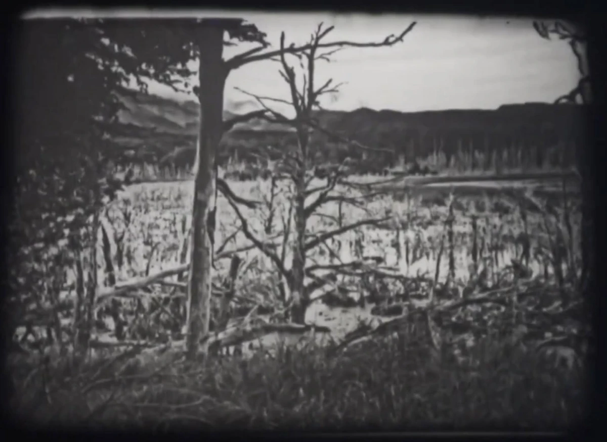 dipolo-fase-ii-foto-copy