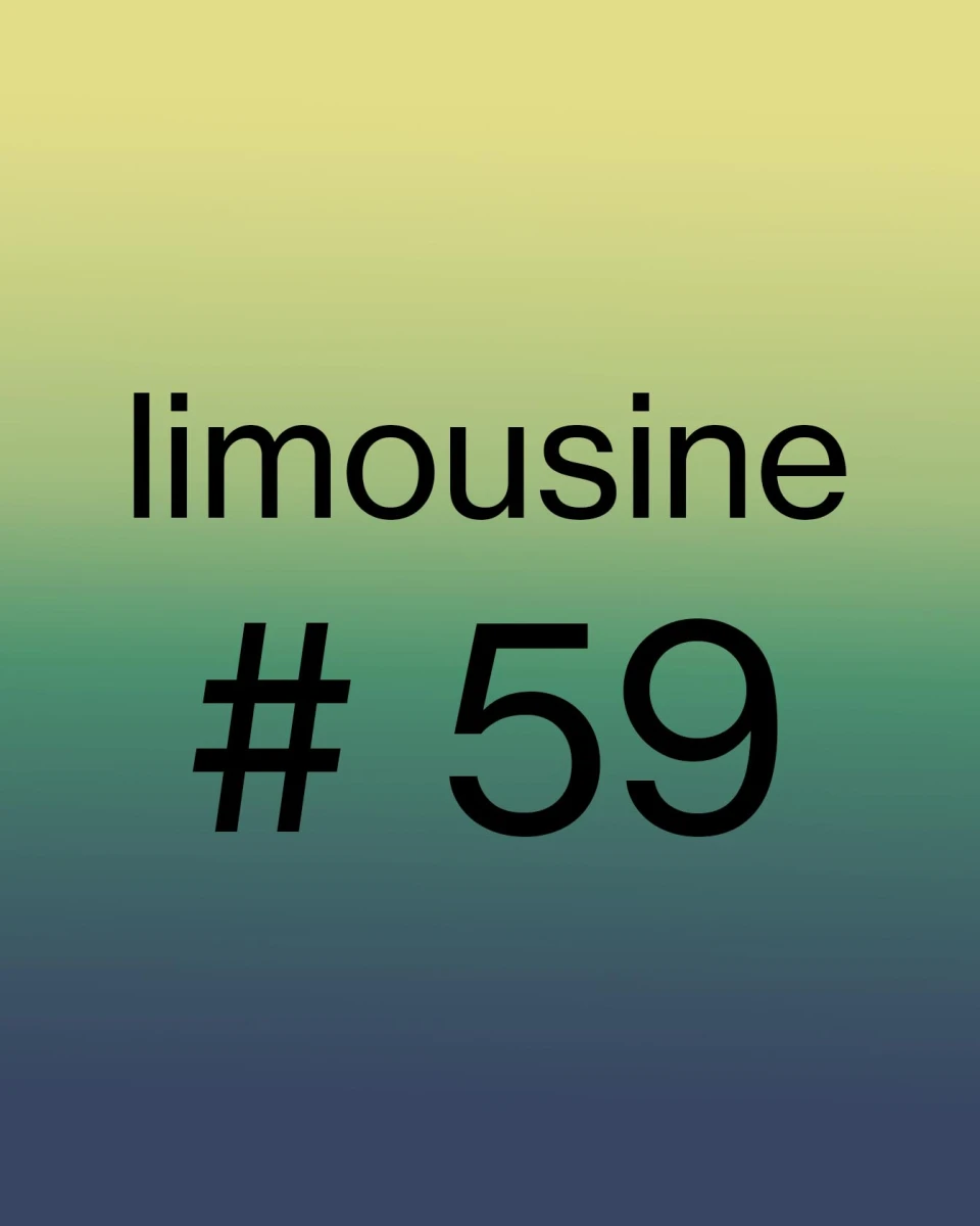 visuel-limousine-59
