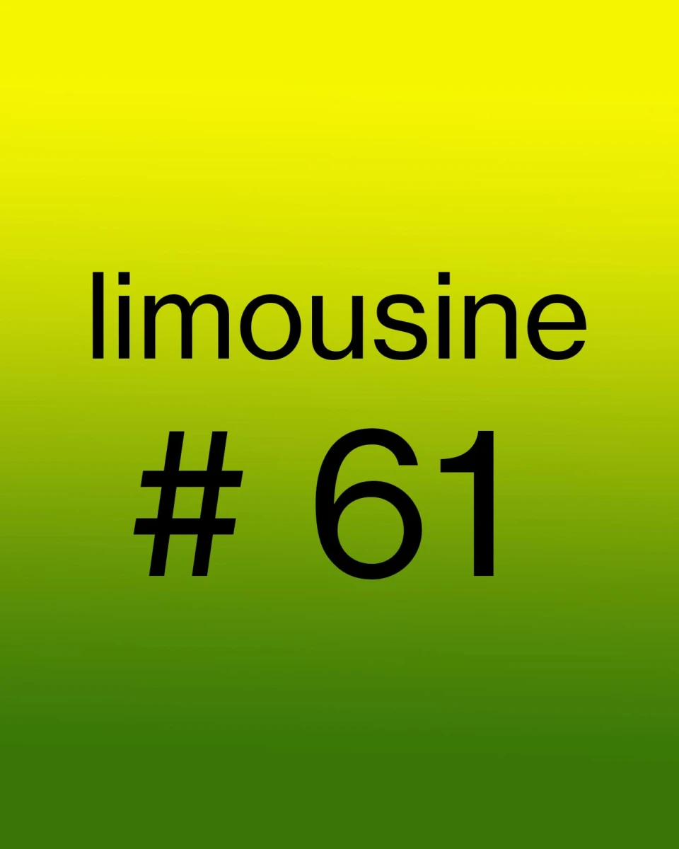 visuel-limousine-61-01