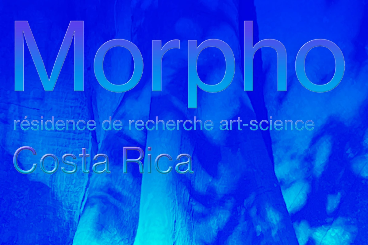 morpho-horz