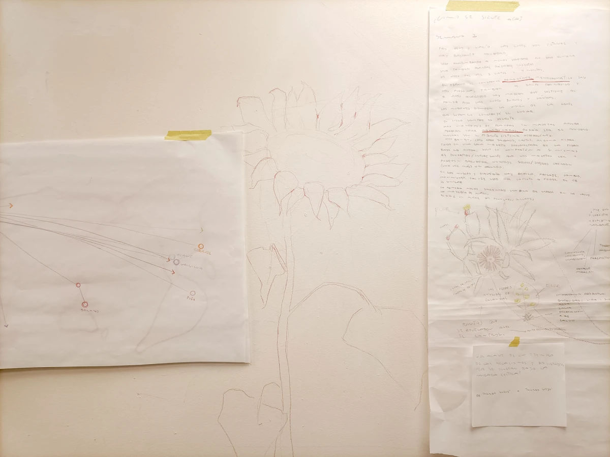 <em>Anthony Robinson<br />
Photo (c) Audrey Faure / Dos Mares</em>