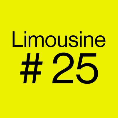 limo-carre-25