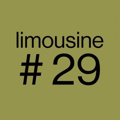 limo-29