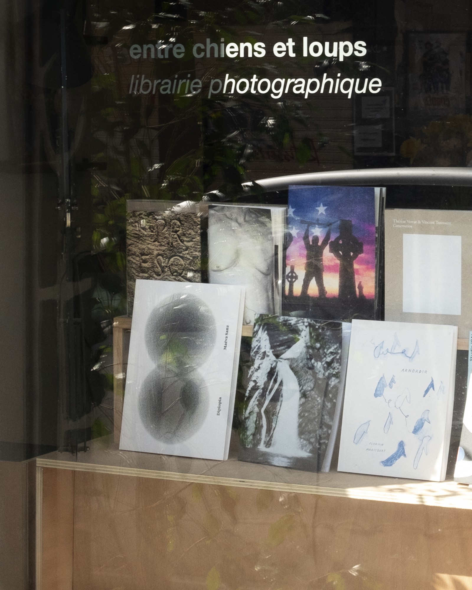 librairieentrechiensetloupsvitrine_ecel_1