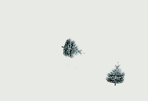 *Noëlisation XI
Mais avant de partir...*