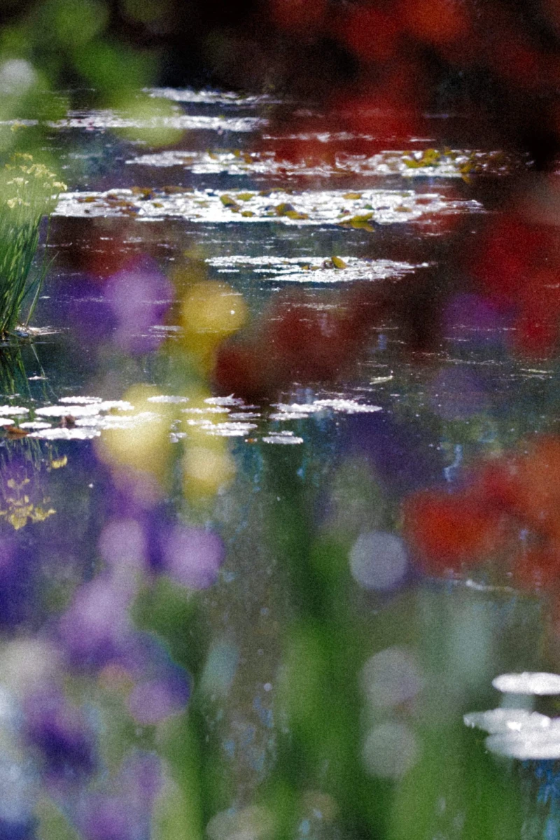 Jonathan Bertin - Nymphéa I, Giverny, 2023
