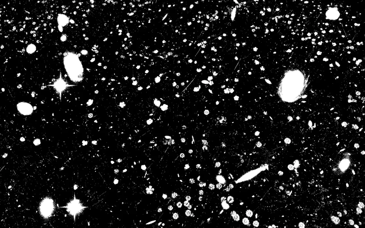 Angela Detanico et Rafael Lain