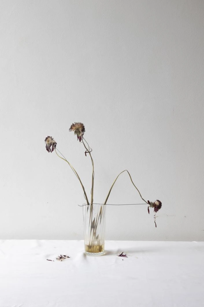 jeanne-et-moreau-memento-mori-athenes-sep-2022-tiree-de-la-serie-memento-mori-2021-2022-jeanne-et-moreau