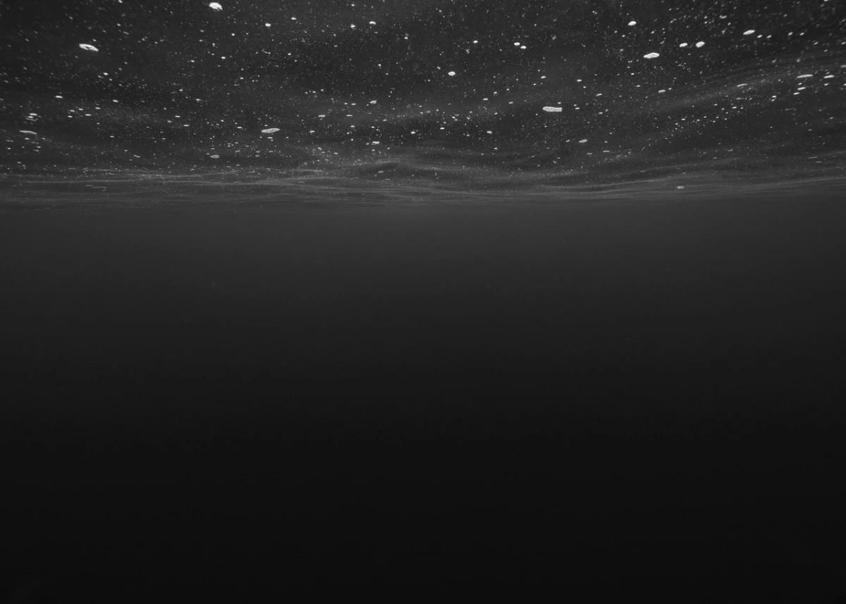 Nicolas Floc’h, Paysages productifs (détail), (c) ADAGP