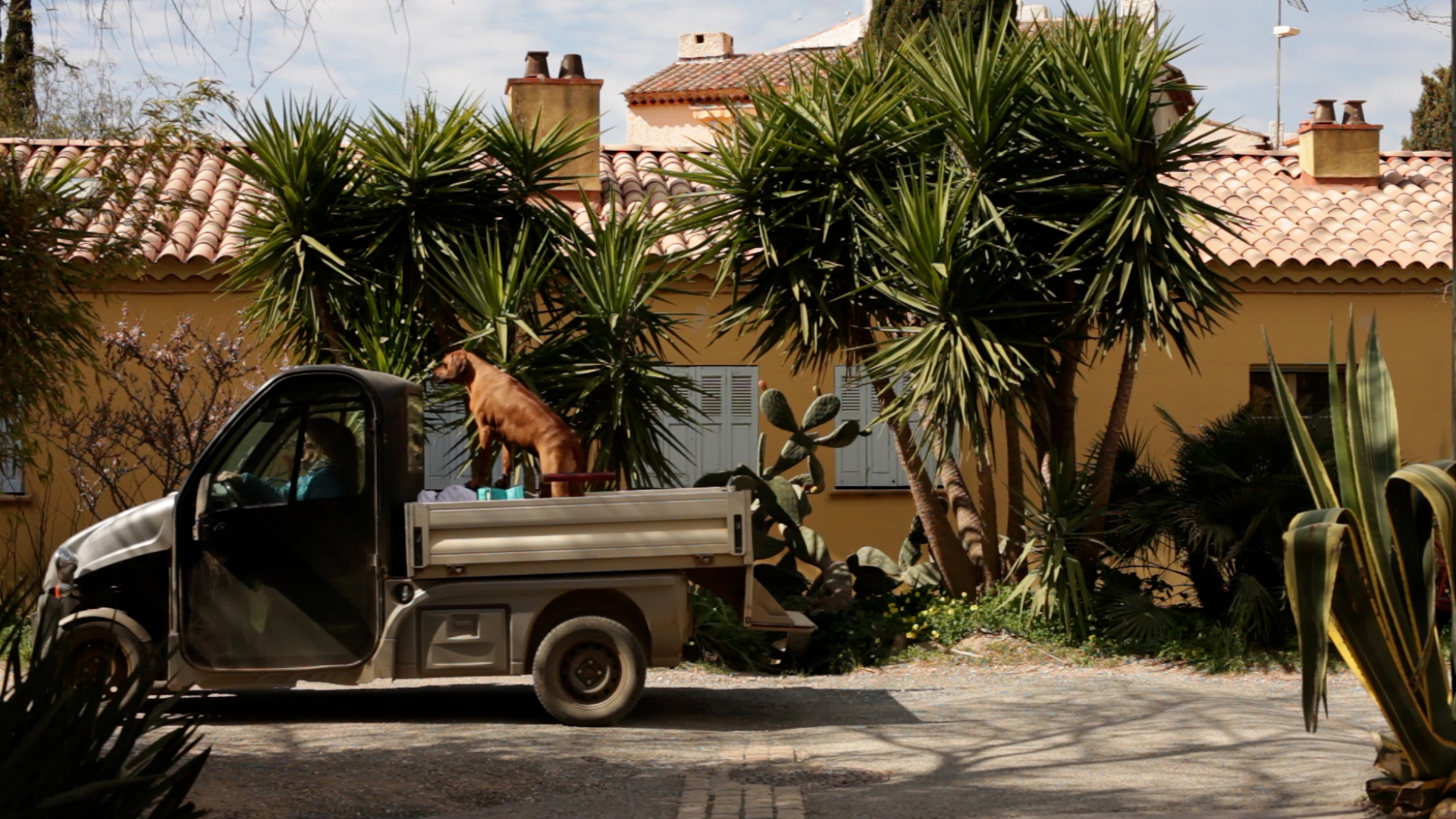 Hélène Baillot et Raphaël Botiveau, Porquerolles, village, mai 2021.
© Hélène Baillot et Raphaël Botiveau