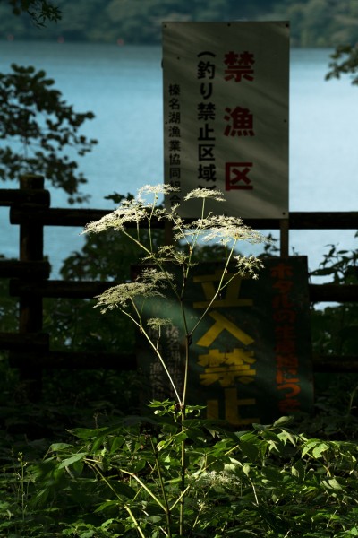 hideki-umezawa-haruna-lake-2-2021.-credit-photographique-hideki-umezawa