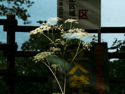 Hideki Umezawa, Haruna Lake #2