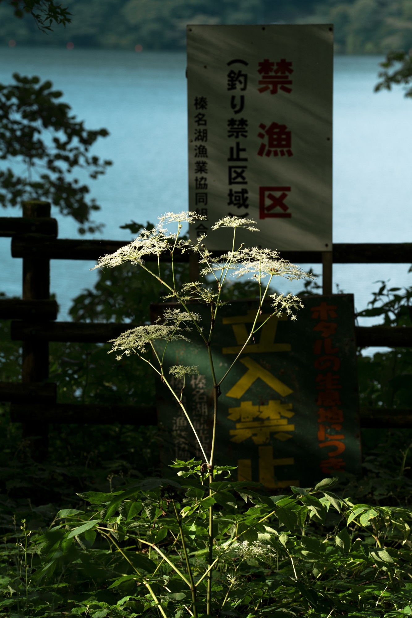 hideki-umezawa-haruna-lake-2-2021.-credit-photographique-hideki-umezawa