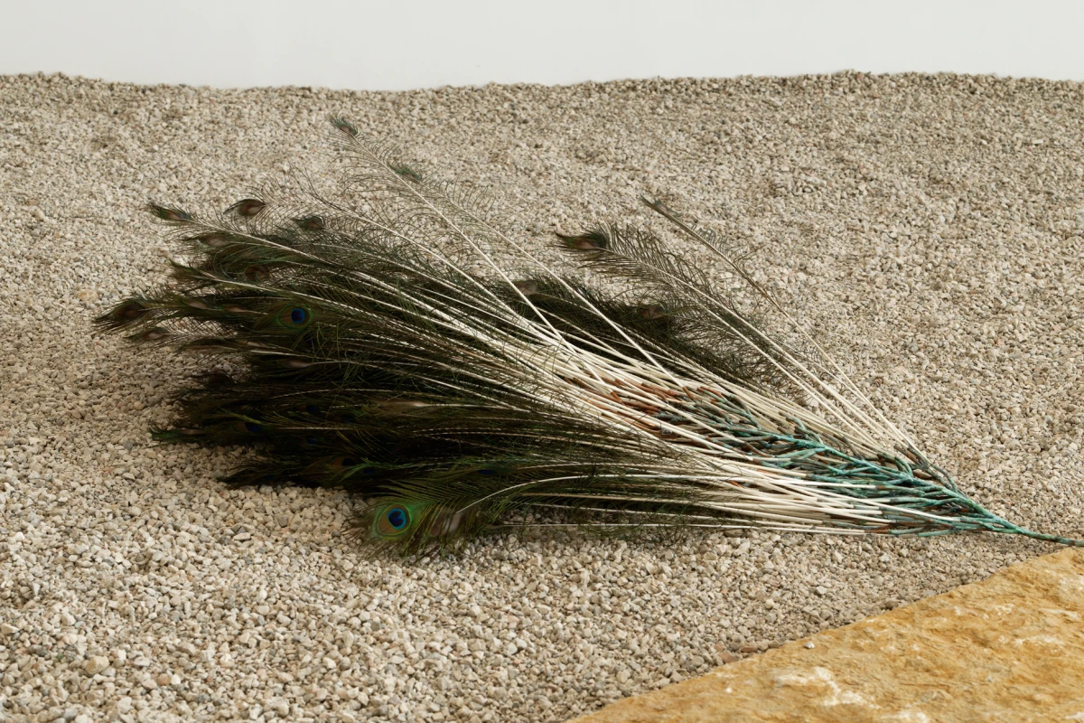 frame-2022-wilfrid-almendra-03