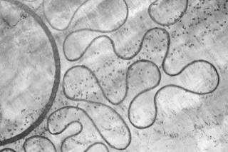 archisable_untertrifaller_0620_09