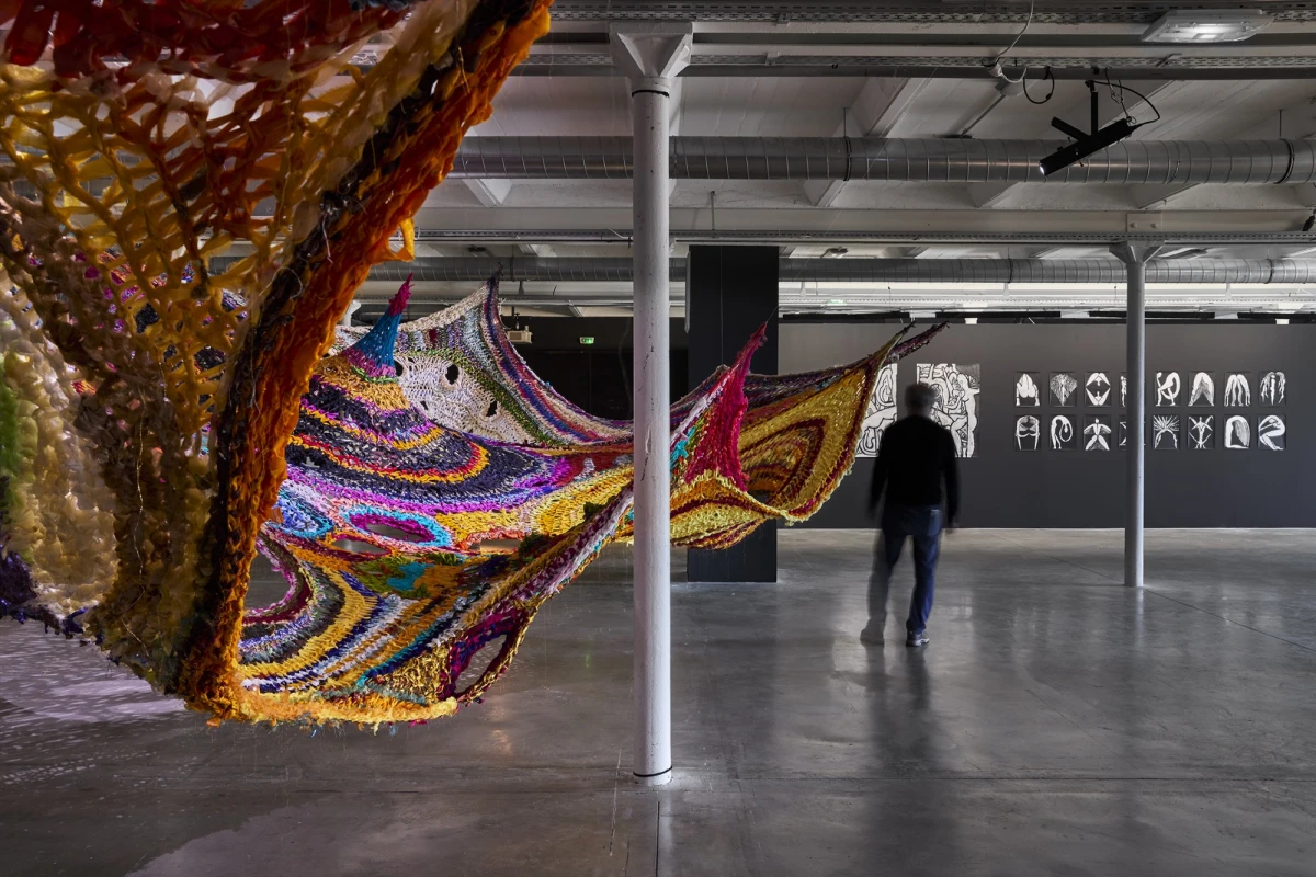 001_asteraterla_72dpijclett