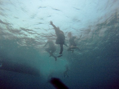 remember-the-light-go-web