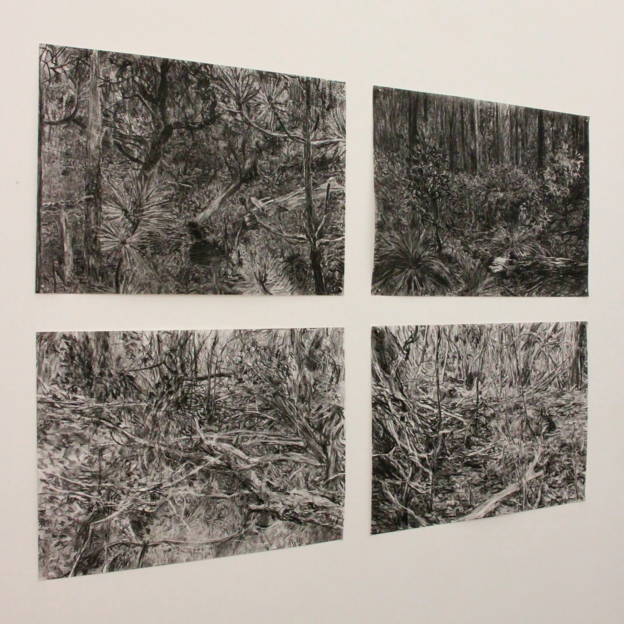 Olivier Dautais, Série *Six approches des confins,* fusain sur papier coton, 2019 © Galerie La Nave Va