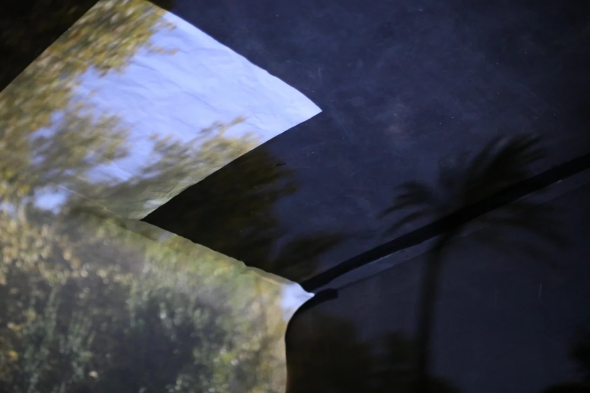 Emma Grosbois, <em>comme</em> 2019