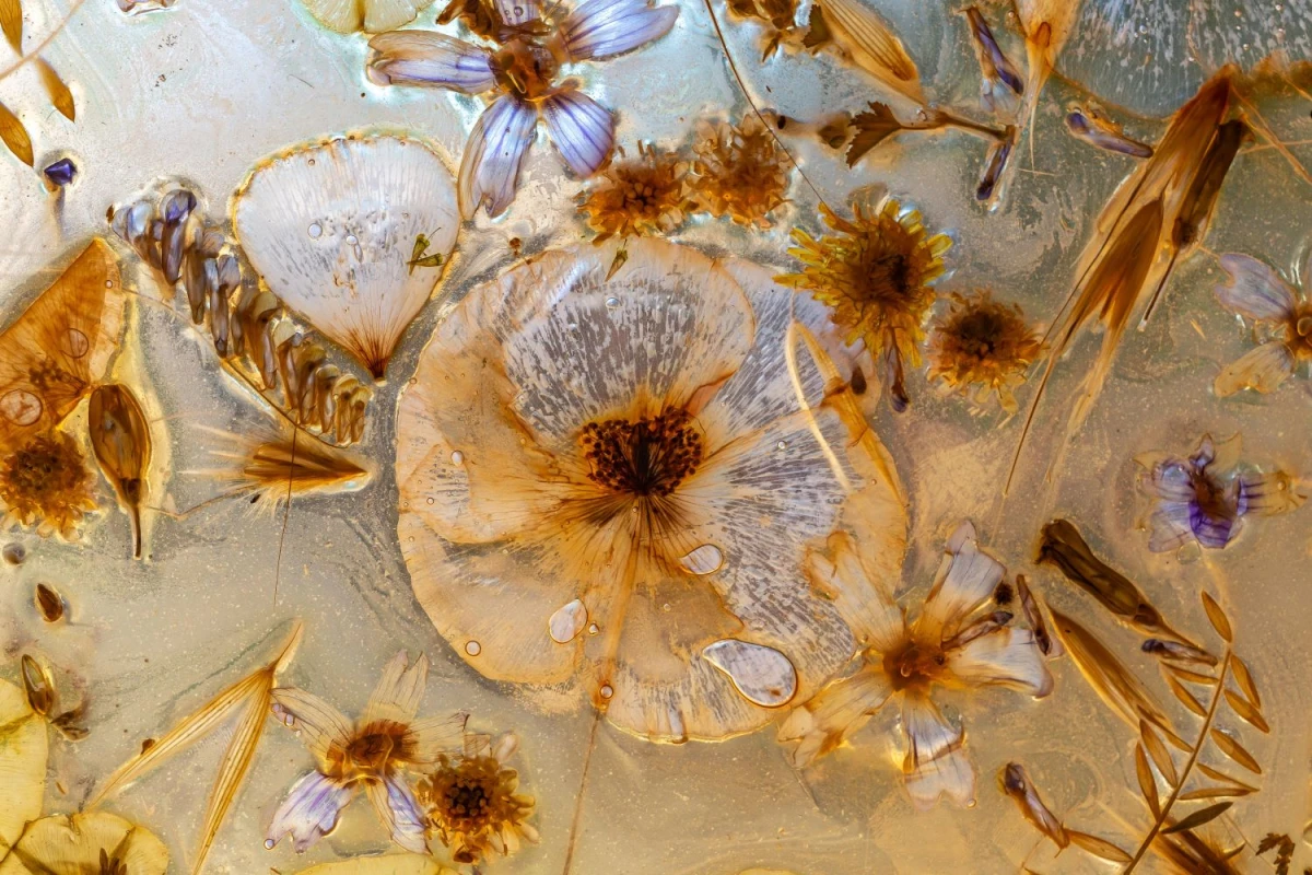 celia-cassai-_le-defend_z-2022